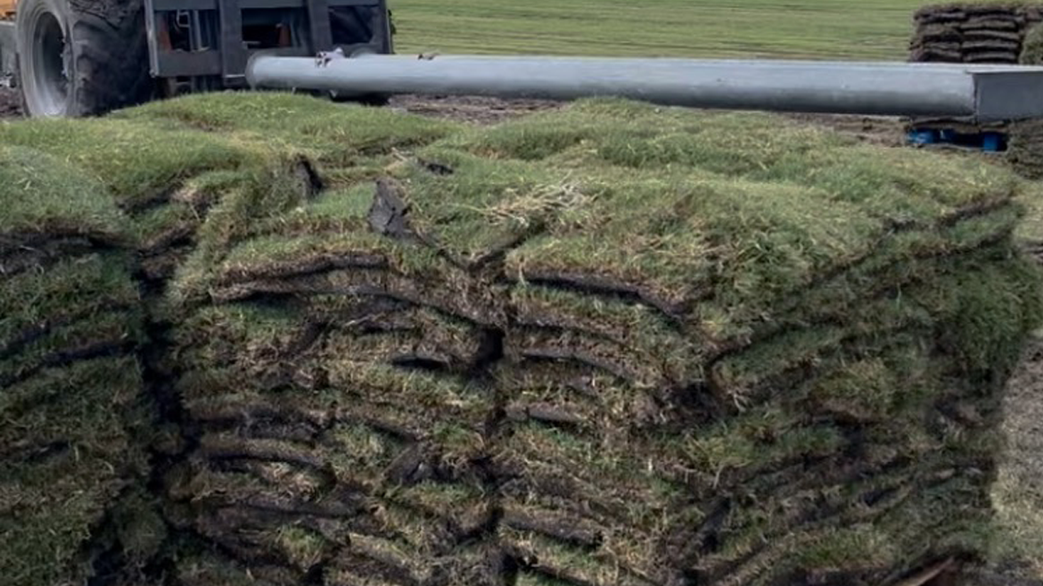 Sod Installation